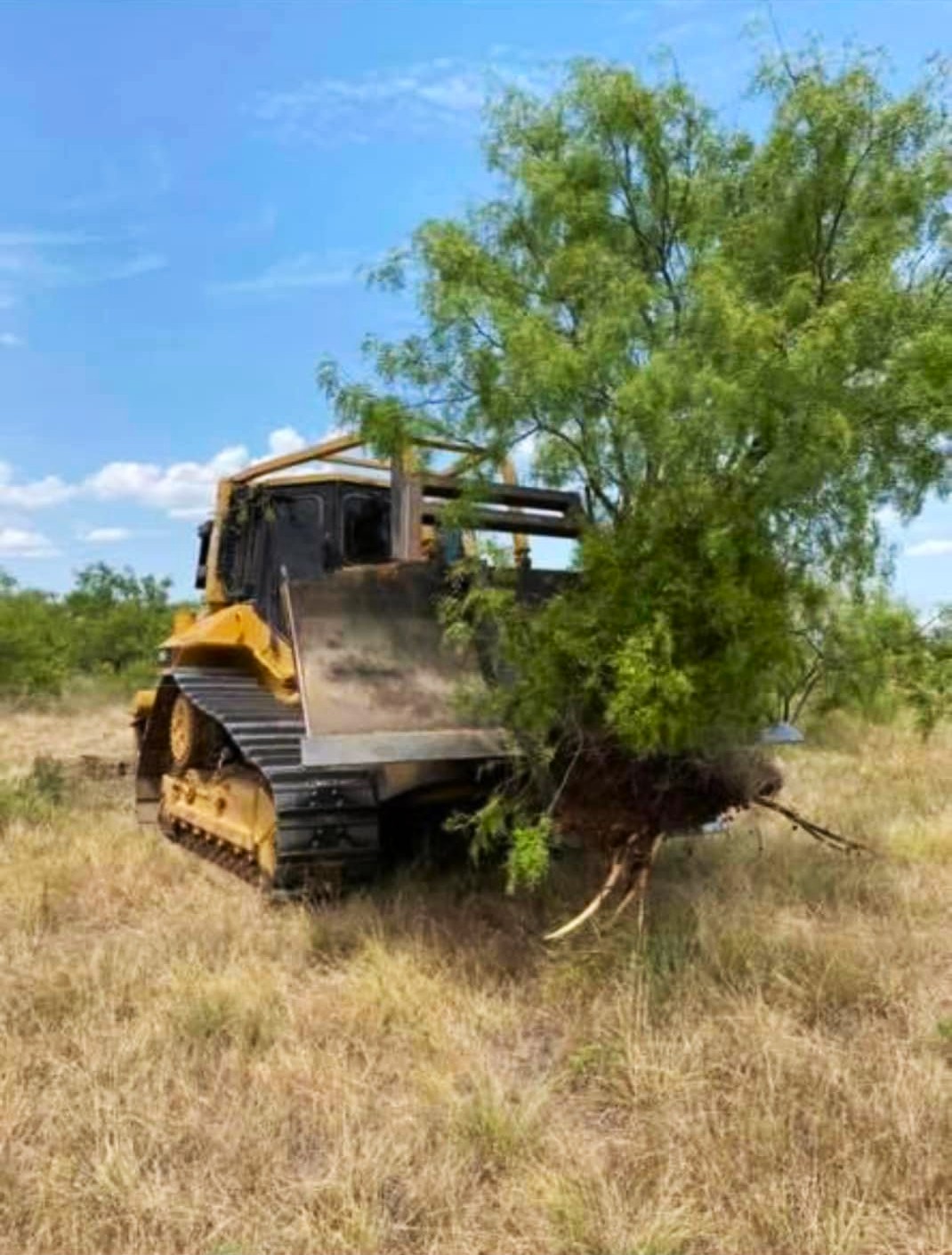 Bulldozer clearing brush and small trees on rural property during site preparation.